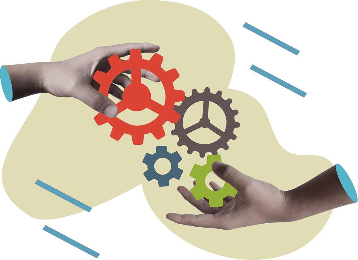 specialists support gears transparent