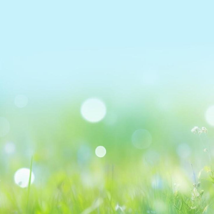 Beautiful sunny spring meadow with green grass and blue sky. Abs